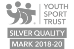 YST QM logo 2018 20 silver rgb